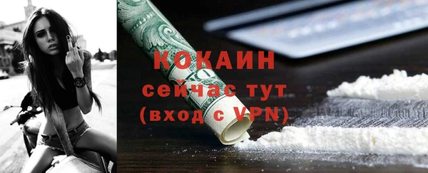 PSILOCYBIN Гусиноозёрск