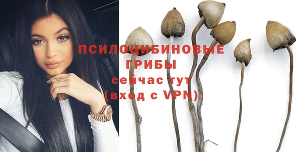 метадон Гусев