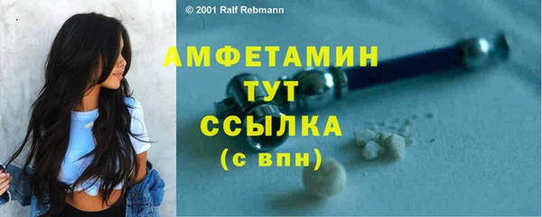 метадон Гусев