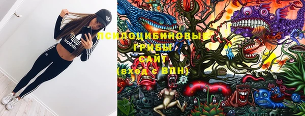 стаф Березники