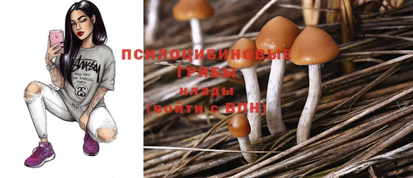 PSILOCYBIN Гусиноозёрск
