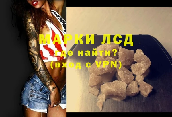 PSILOCYBIN Гусиноозёрск