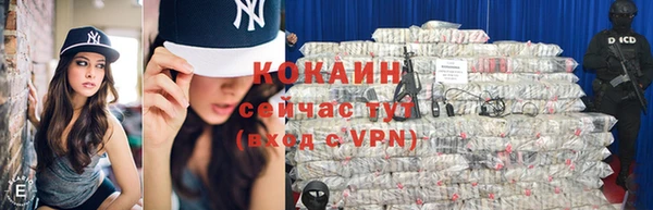 PSILOCYBIN Гусиноозёрск