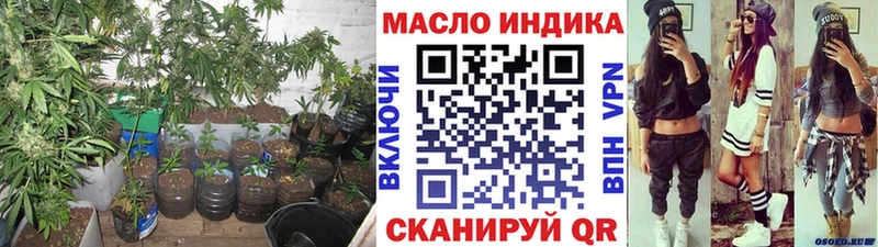 Купить закладки  Нолинск  ТГК жижа 