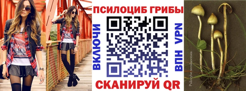 Купить где  Нолинск  Галлюциногенные грибы Cubensis 